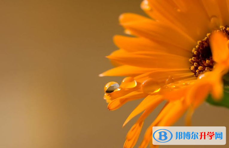 成都2021年中考成績什么時間知道