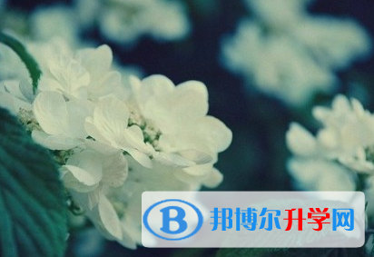 成都2021年中考報名網(wǎng)
