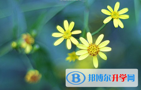 成都2021年中考報名網站