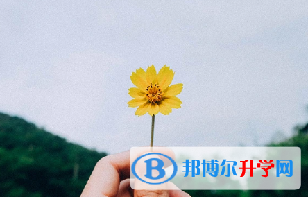 成都2021年中考網中考查詢