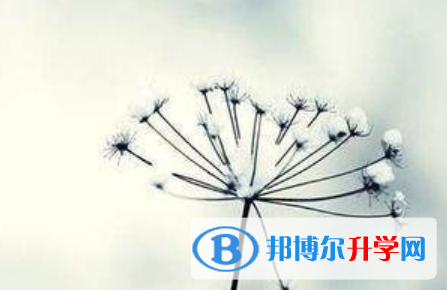 成都2021年今年中考哪些學(xué)校有招生