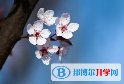 成都2021年中考報名服務平臺