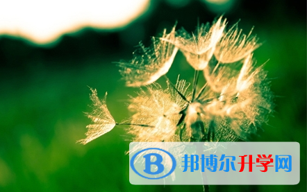 成都2021年中考報名網(wǎng)站登錄