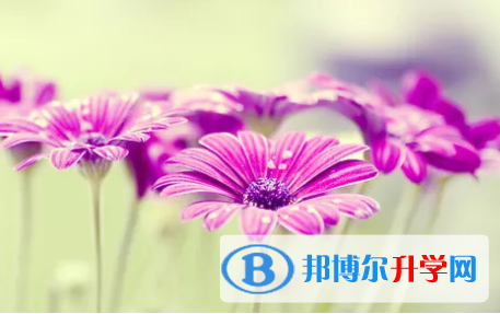 四川2021年中考報名網