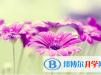 四川2021年中考報名網