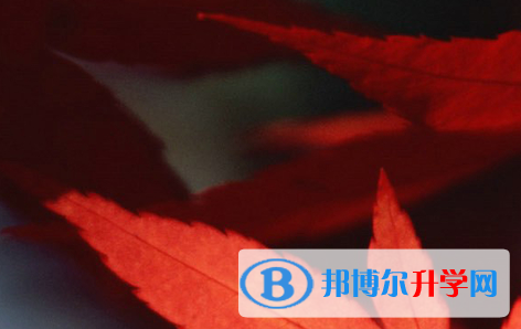 四川2021年中考報名網(wǎng)站