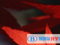四川2021年中考報名網站