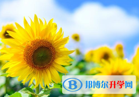 四川2021年中考報名系統