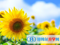 四川2021年中考報名系統