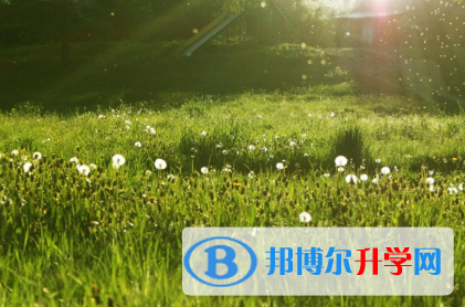 四川2021年中考錄取報(bào)名網(wǎng)