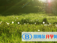 四川2021年中考錄取報名網