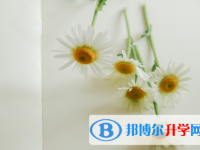 四川2021年中考網報