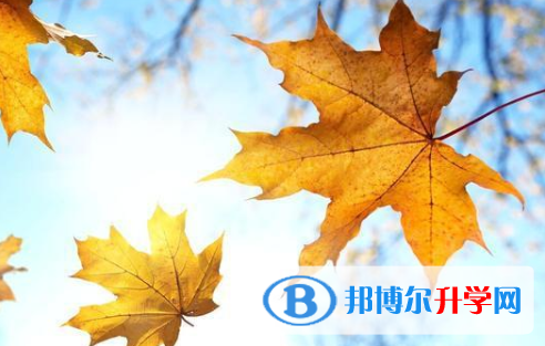 四川2021年孩子因病錯過中考怎么辦