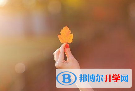 四川2021年好多號中考