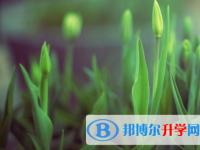 四川2021年中考報名網站登錄
