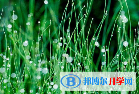 四川2021年中考報名網站是什么