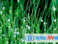 四川2021年中考報名網(wǎng)站是什么