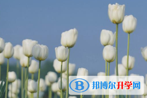 四川2021年中考網(wǎng)絡(luò)應(yīng)用服務(wù)平臺登錄