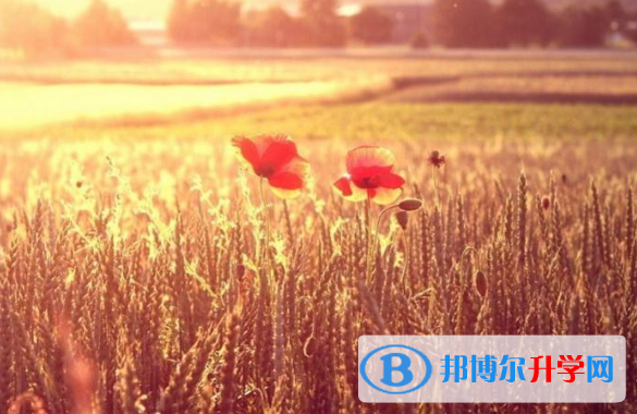 四川2021年中考志愿填報(bào)技巧