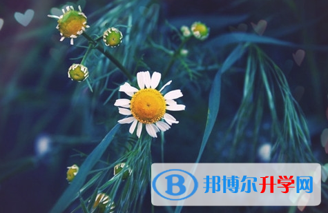 自貢2021年中考查詢(xún)系統(tǒng)