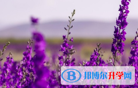 自貢2021年中考報(bào)考攻略