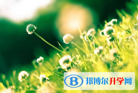 自貢2021年中考報(bào)名網(wǎng)