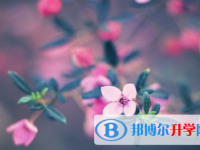 自貢2021年中考報名網(wǎng)站