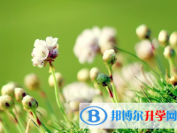 自貢2021年中考報名系統(tǒng)