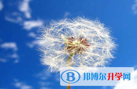 自貢2021年中考錄取結果