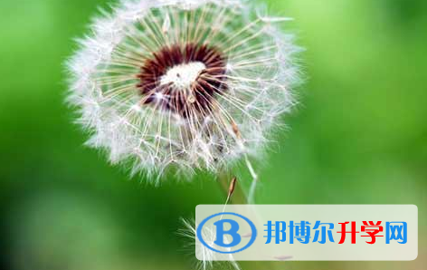 自貢2021年中考聽(tīng)力
