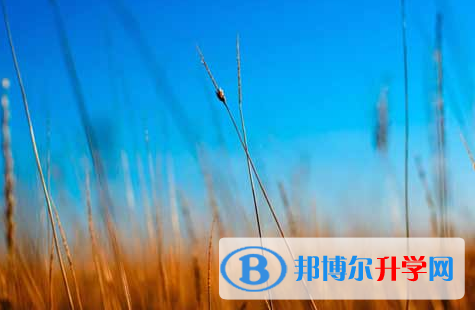 自貢2021年中考網(wǎng)上報考信息平臺