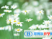自貢2021年中考網(wǎng)上報名