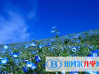 自貢2021年中考招生網(wǎng)絡(luò)應(yīng)用服務(wù)平臺