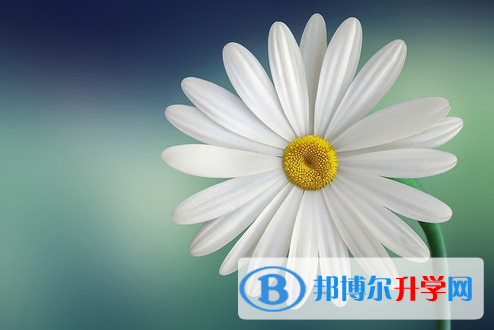 自貢2021年中考咨詢(xún)熱線(xiàn)電話(huà)號(hào)碼