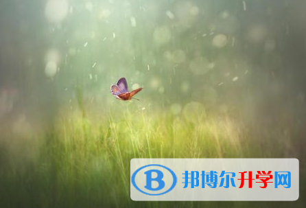 自貢2021年中考報(bào)名服務(wù)平臺(tái)