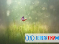 自貢2021年中考報名服務(wù)平臺