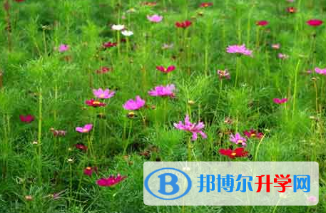 自貢2021年中考的統(tǒng)招和調劑說明
