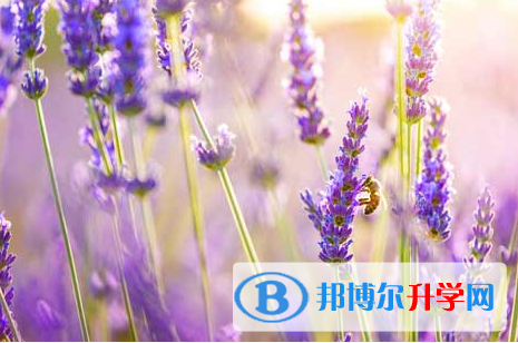 自貢2021年中考各科高頻考點