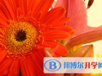 自貢2021年中考生活注意事項(xiàng)