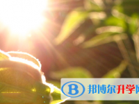 自貢2021年中考升學(xué)率