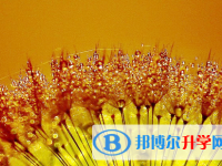 自貢2021年中考時(shí)間安排