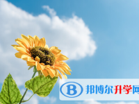 自貢2021年中考應(yīng)對(duì)策略