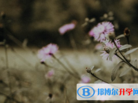 自貢2021年中考重點(diǎn)復(fù)習(xí)