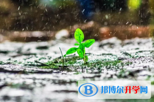 自貢2021年中考準考證