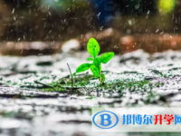 自貢2021年中考準(zhǔn)考證