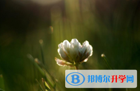 自貢2021年中考招生學校