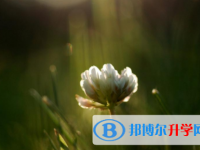 自貢2021年中考招生學(xué)校