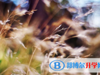 自貢2021年中考準(zhǔn)考證丟了怎么辦