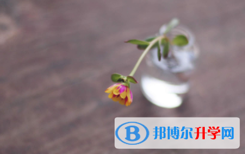 自貢2021年中考沒考好可以復(fù)讀嗎