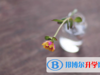 自貢2021年中考沒考好可以復讀嗎
